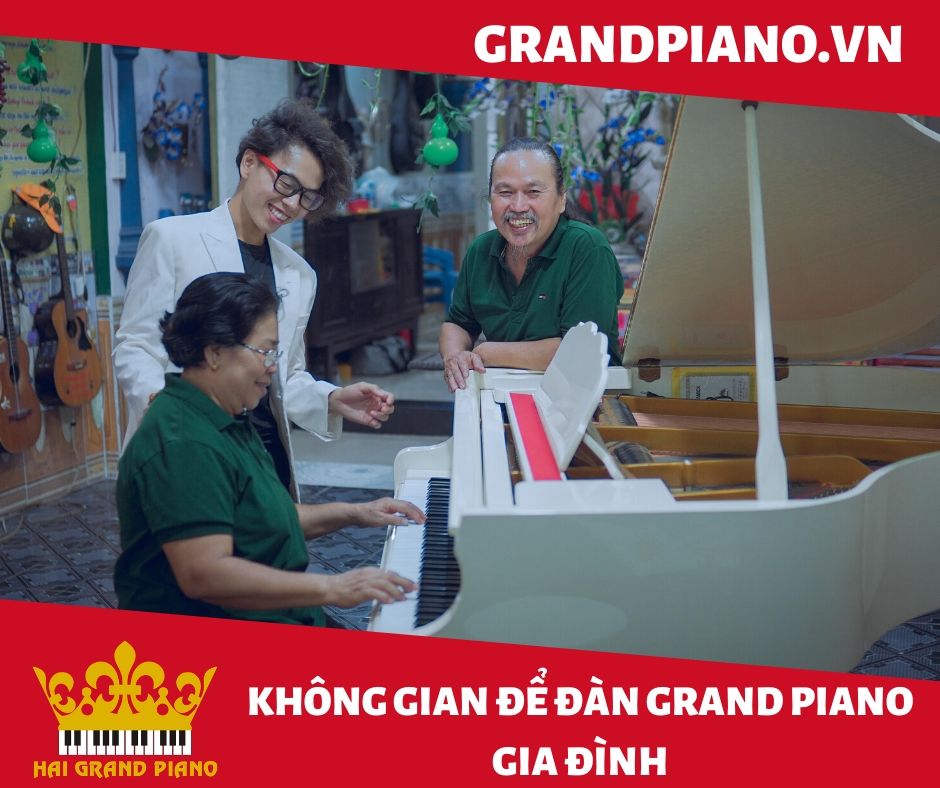 GRAND-PIANO-SAMIC-1