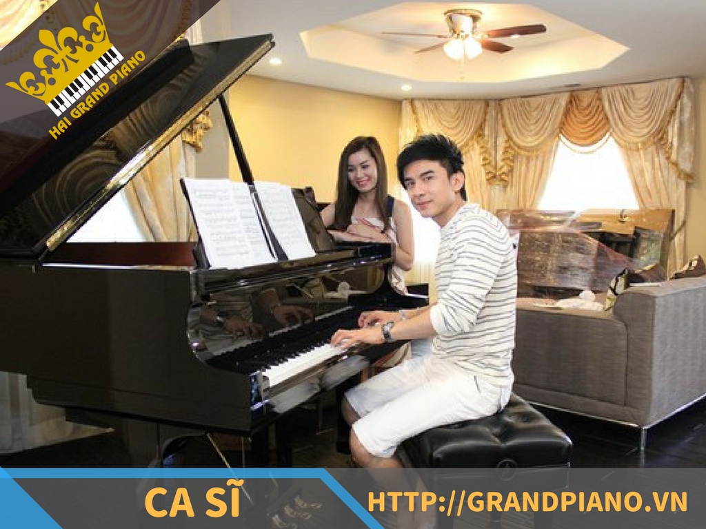 hai-grand-piano-nghe-si-18