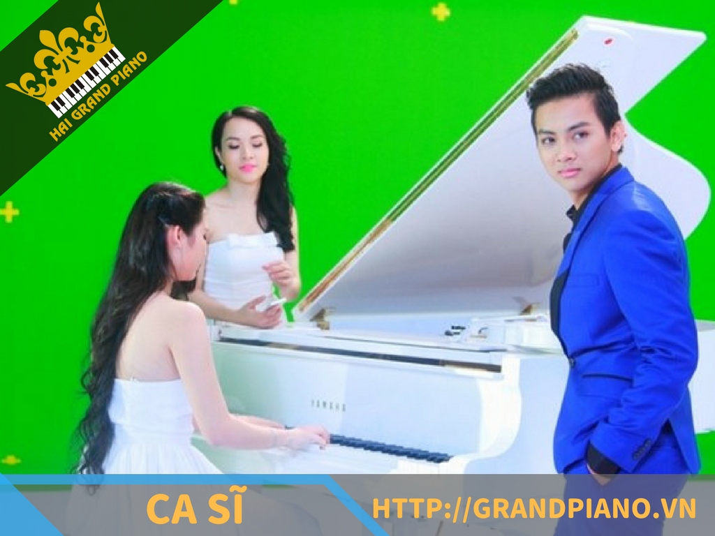 hai-grand-piano-nghe-si-14