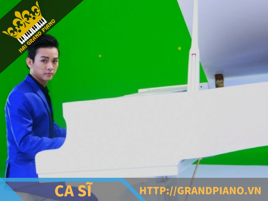 hai-grand-piano-nghe-si-15