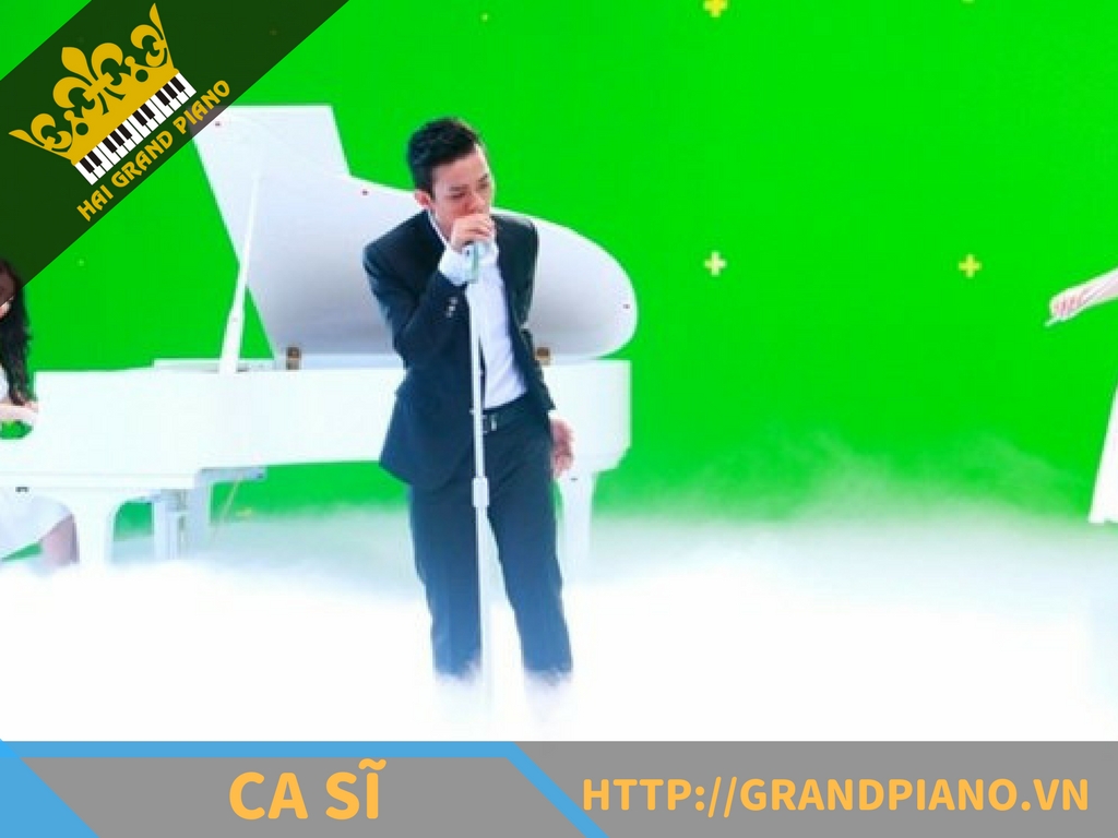 hai-grand-piano-nghe-si-16