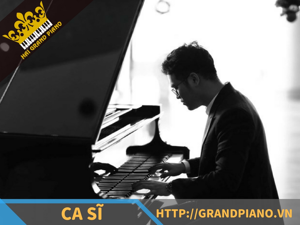 hai-grand-piano-nghe-si-1