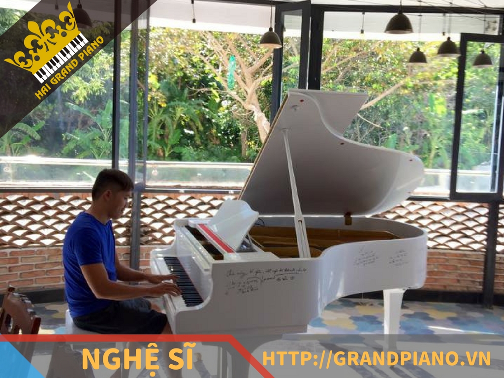 hai-grand-piano-nghe-si-1