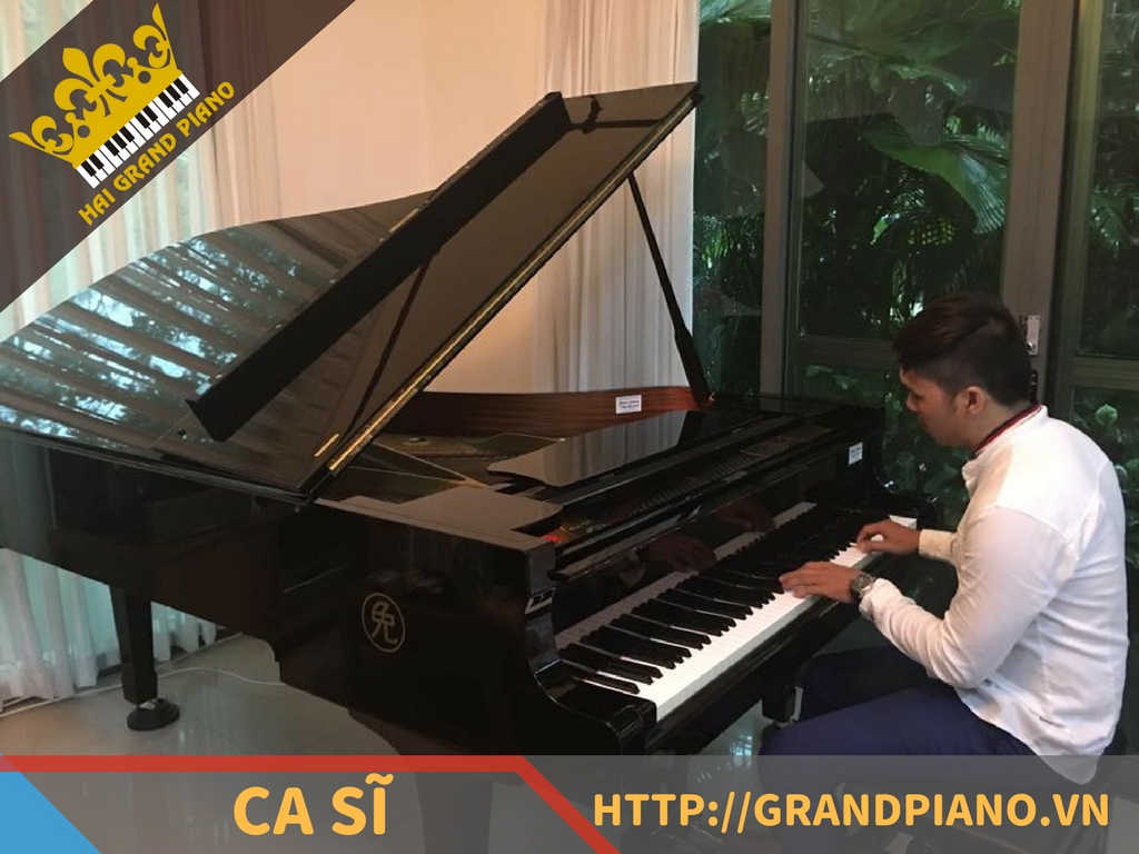 hai-grand-piano-nghe-si-10