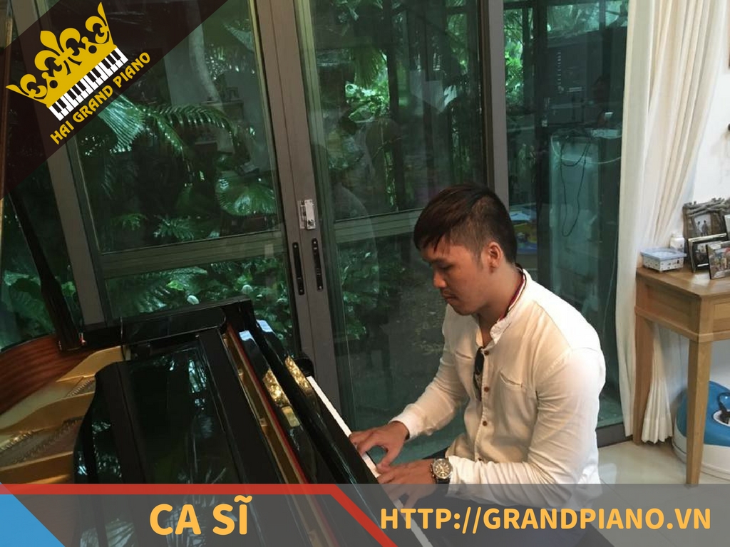 hai-grand-piano-nghe-si-11