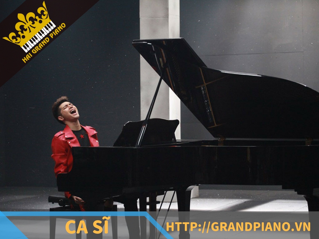 hai-grand-piano-nghe-si-5