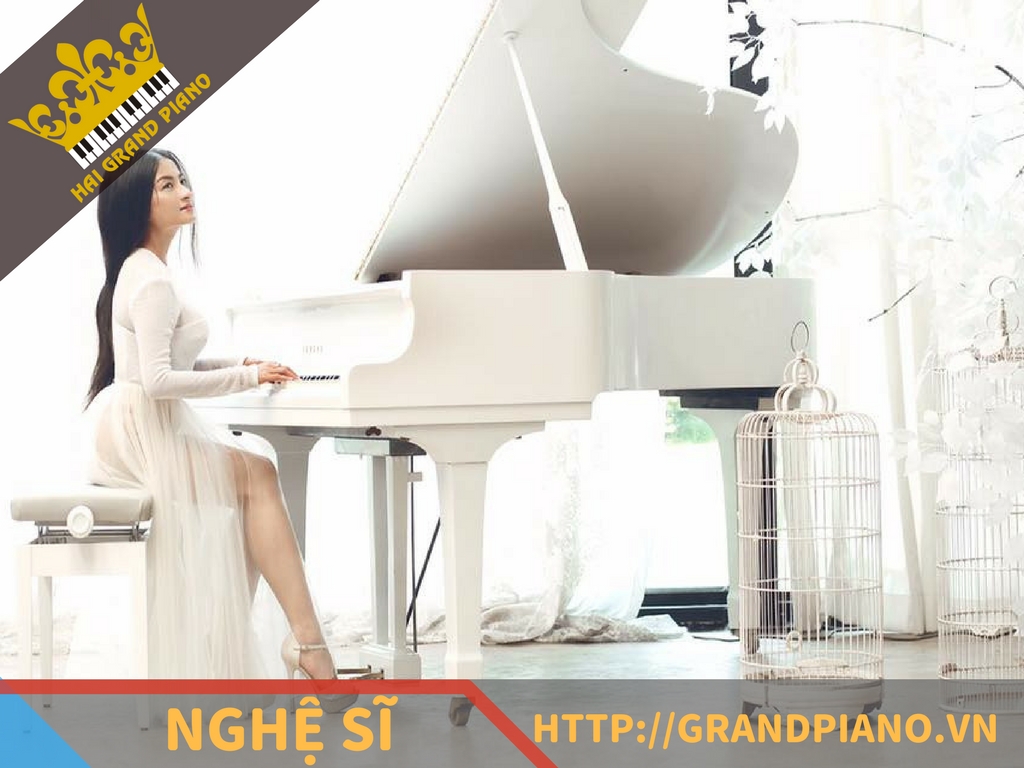 hai-grand-piano-nghe-si-5