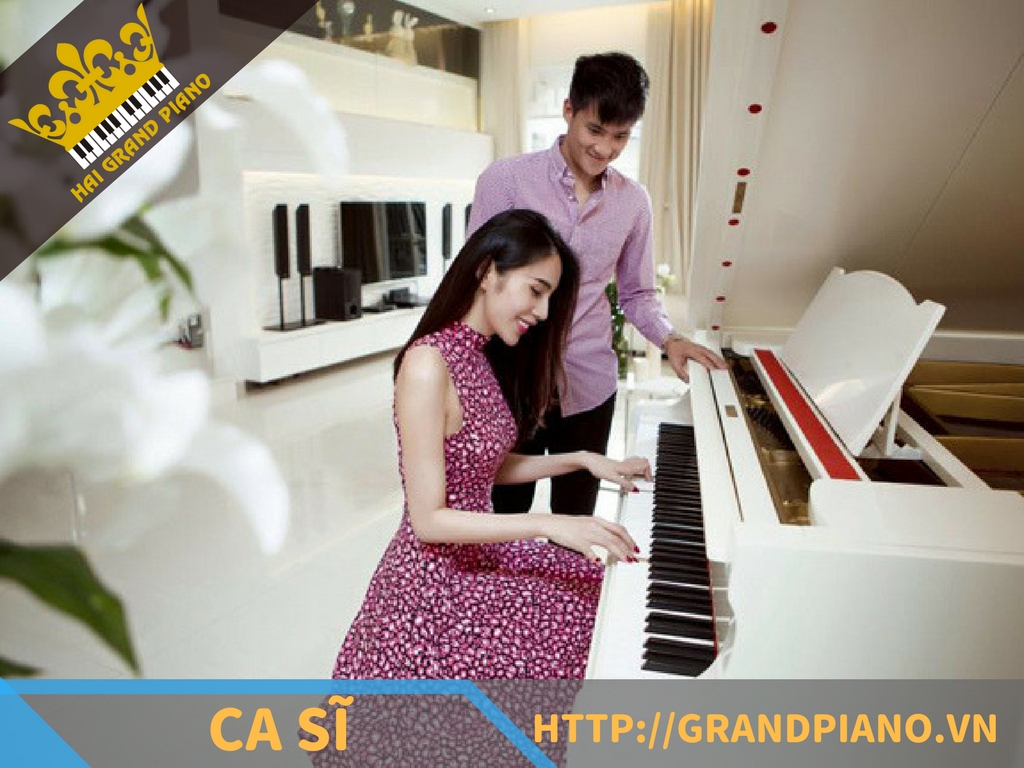 hai-grand-piano-nghe-si-11