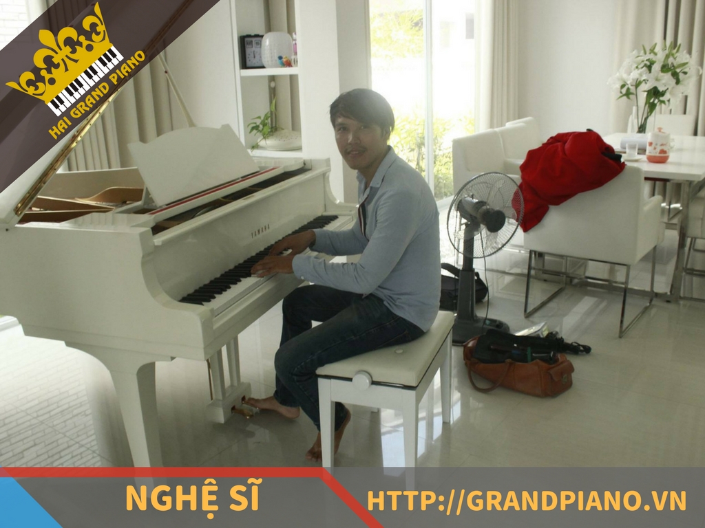 hai-grand-piano-nghe-si-30