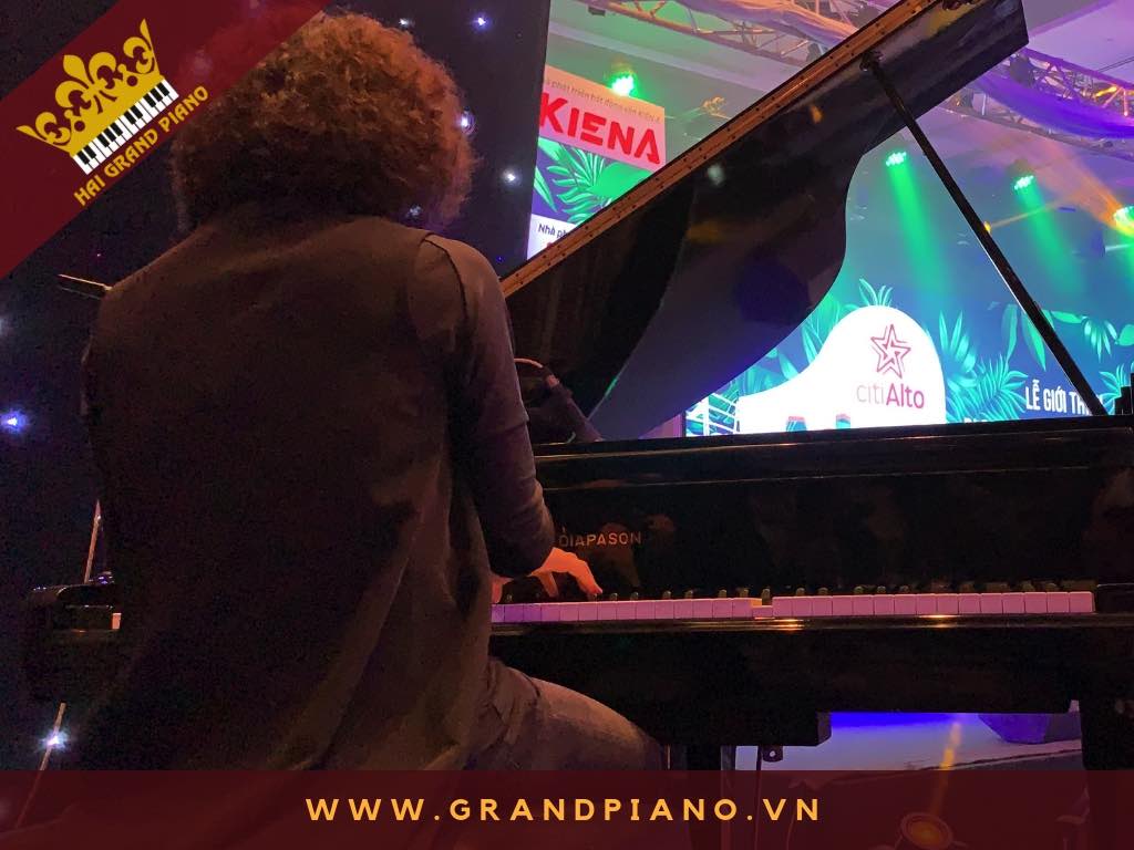 grand piano bieu dien tuan manh_004