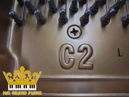 C2-GRAND-PIANO-YAMAHA-3