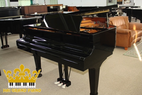 C3L-GRAND-PIANO-DAN-2