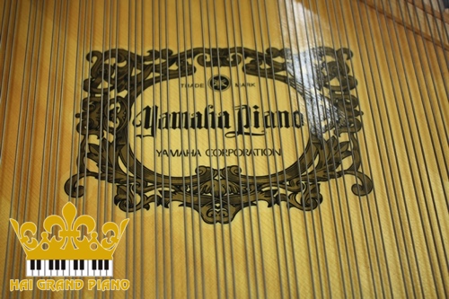 C3L-GRAND-PIANO-DAN-5