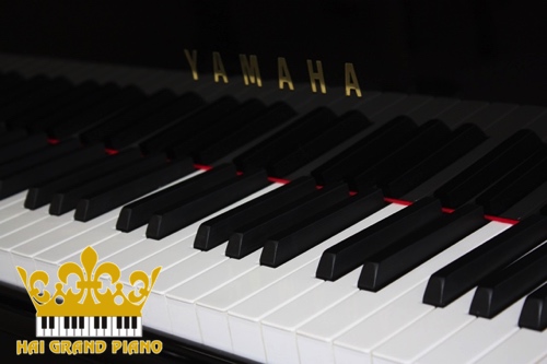 C7A-GRAND-PIANO-YAMAHA-7