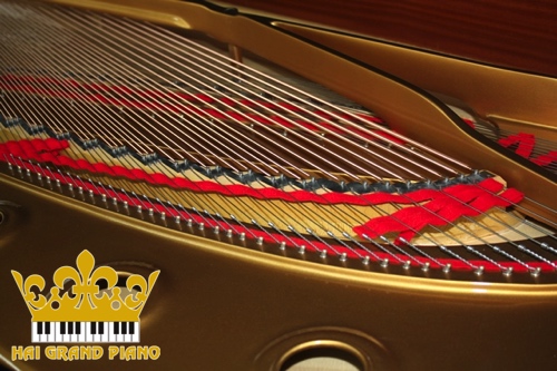 CF IIIS-GRAND-PIANO-4