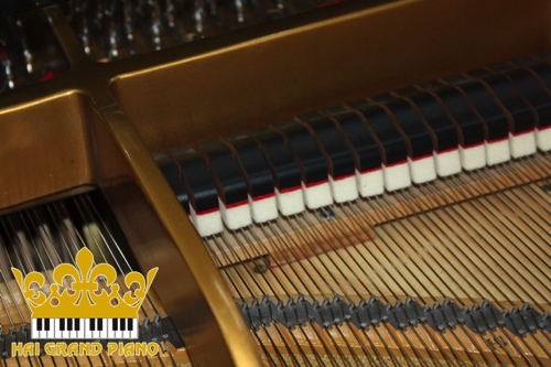 CF IIIS-GRAND-PIANO-6