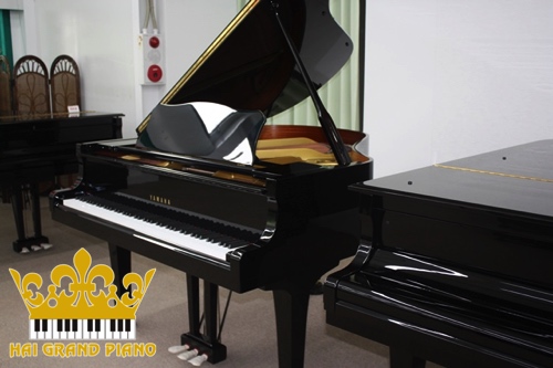 ĐÀN GRAND PIANO YAMAHA G1E