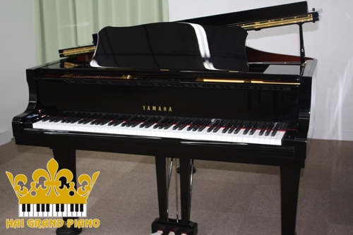 G1E-GRAND-PIANO-2