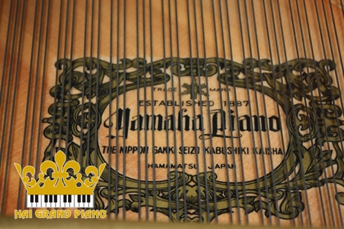 GRAND-PIANO-G3-YAMAHA-4