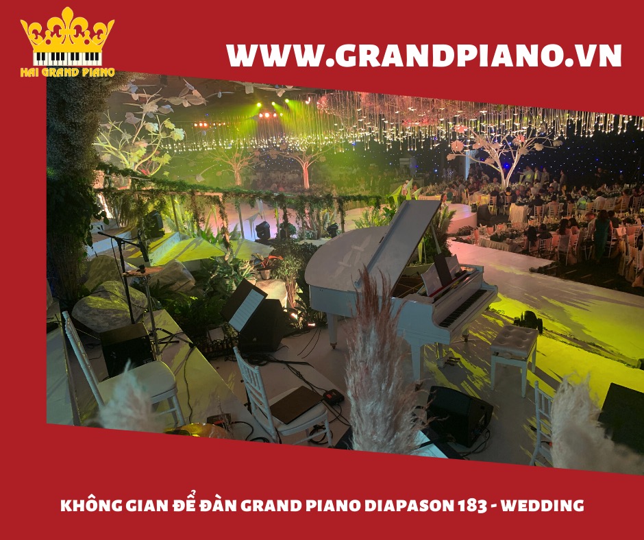 Không Gian Để Đàn Grand Piano White | Wedding Cao Cấp | Quận 1