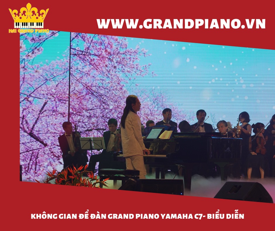 grand-piano-yamaha-c7_003