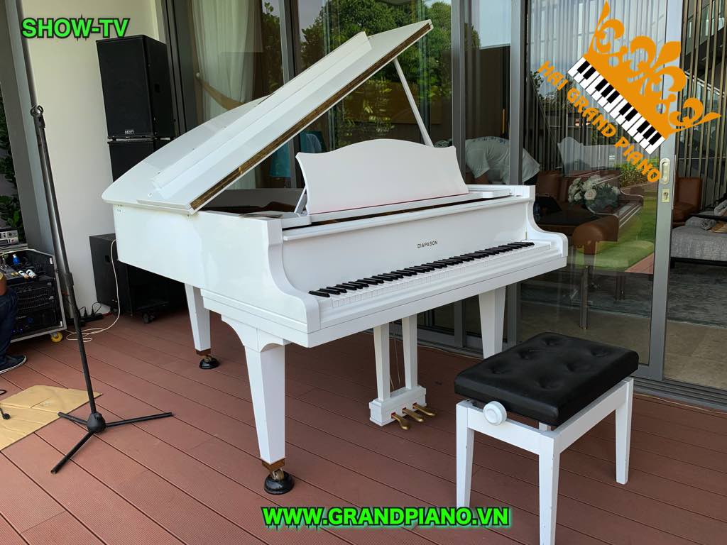 GRAND-PIANO-DIAPASON-1