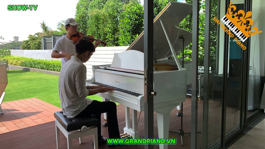 GRAND-PIANO-DIAPASON-4