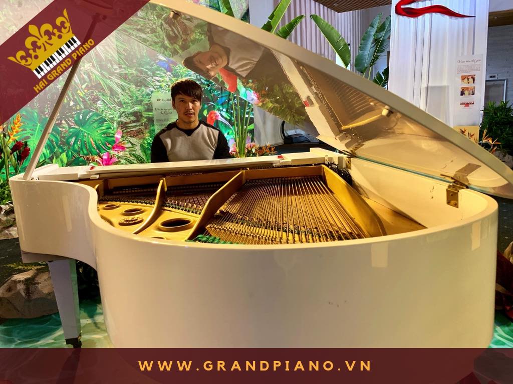 grand piano white diapson
