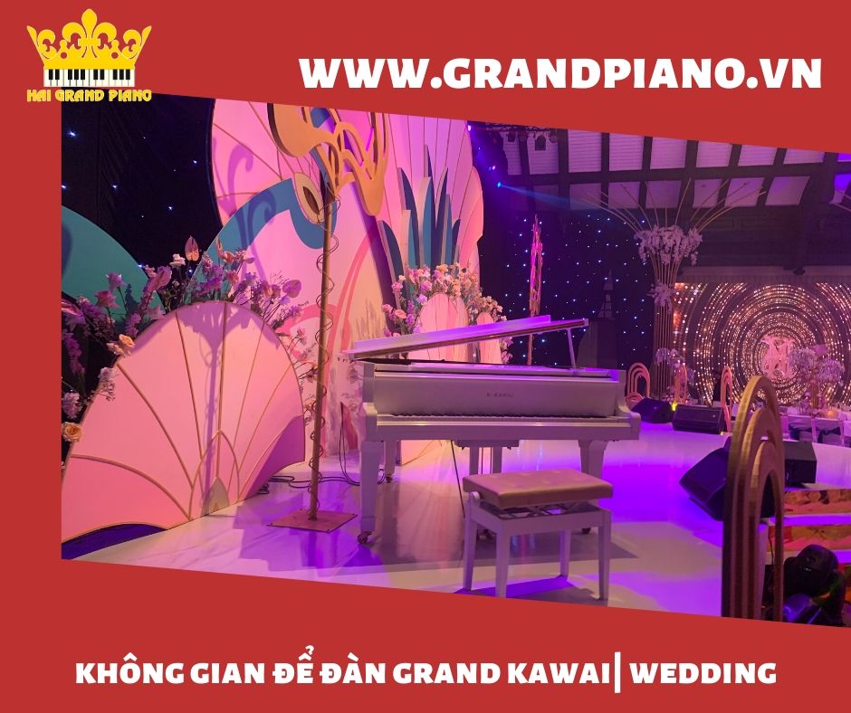 Không Gian Để Đàn Grand Piano White | Tiệc Cưới Cao Cấp 