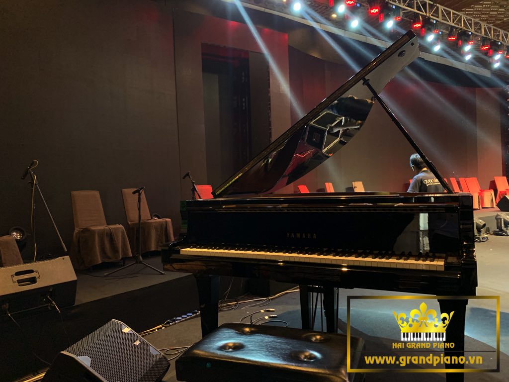 GRAND PIANO G2B 2