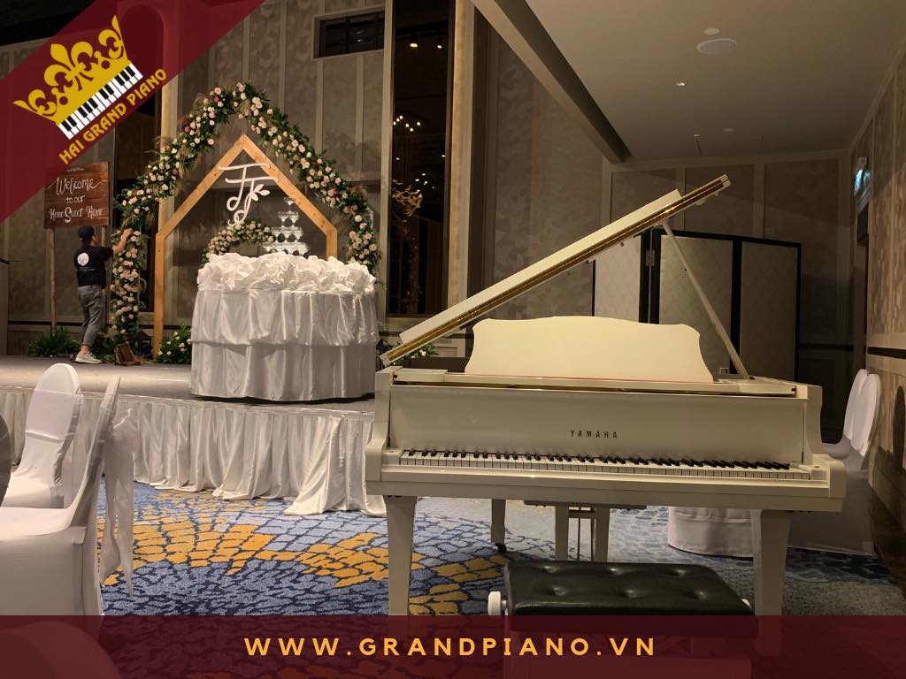 GRAND PIANO YAMAHA BIỂU DIỄN TIỆC CƯỚI KS 5 SAO 