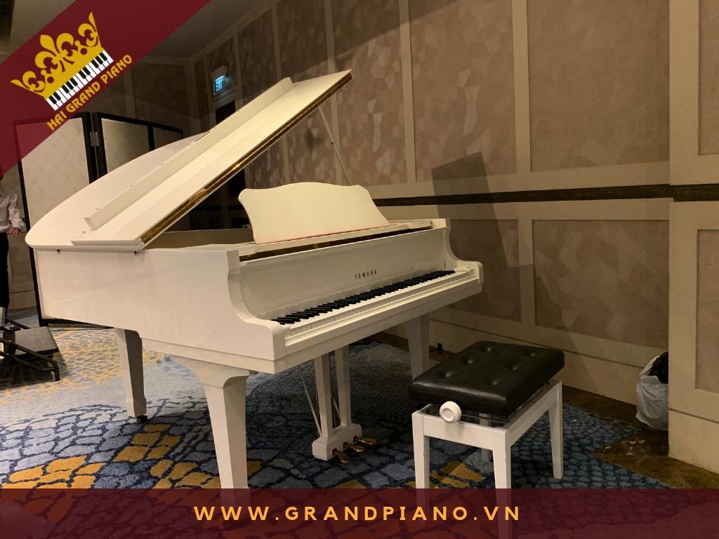 grand yamaha white piano g2_002