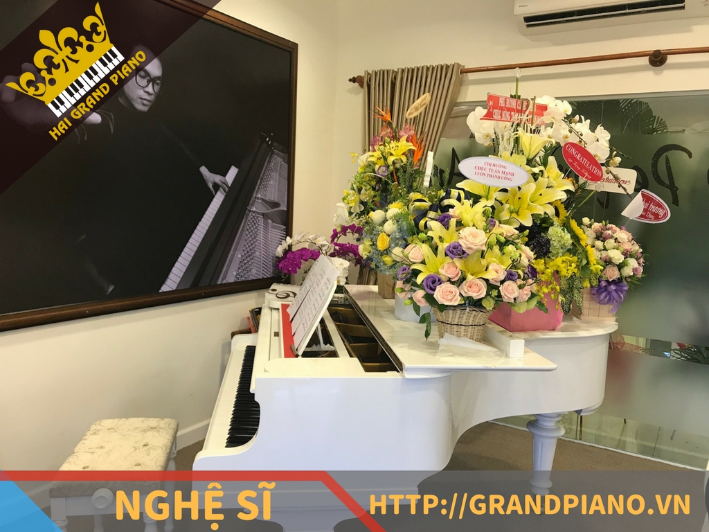 nghe-si-piano-tuan-manh-15