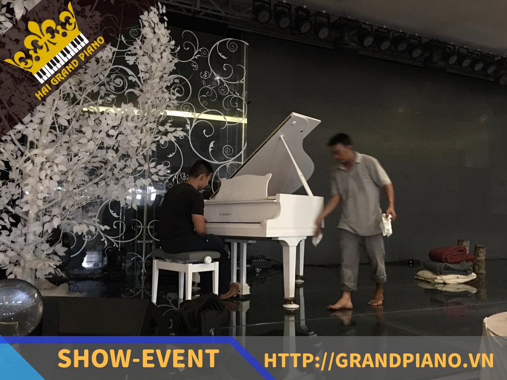 GRAND-PIANO-G2-1