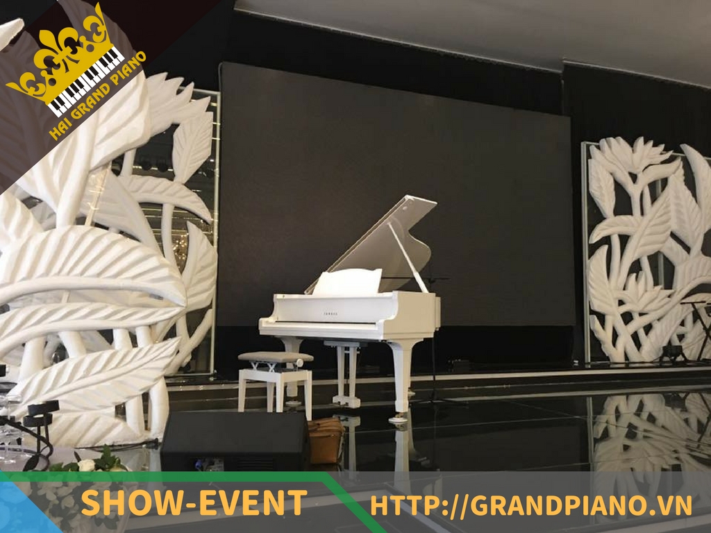 The Adora - Đàn Grand Piano Yamaha G2A Biểu Diễn