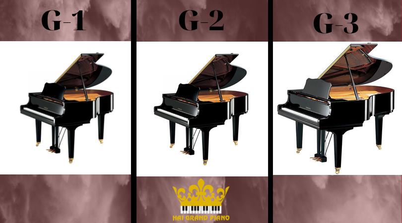 Sự Khác Nhau Giữa Grand Piano G1 - G2 - G3 Yamaha 