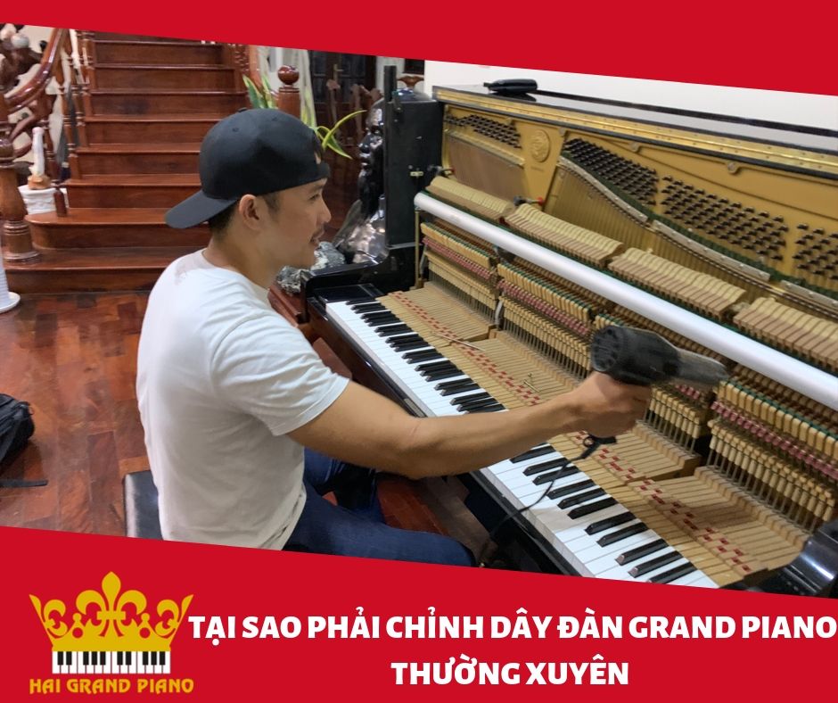 chinh-day-piano-grand-4