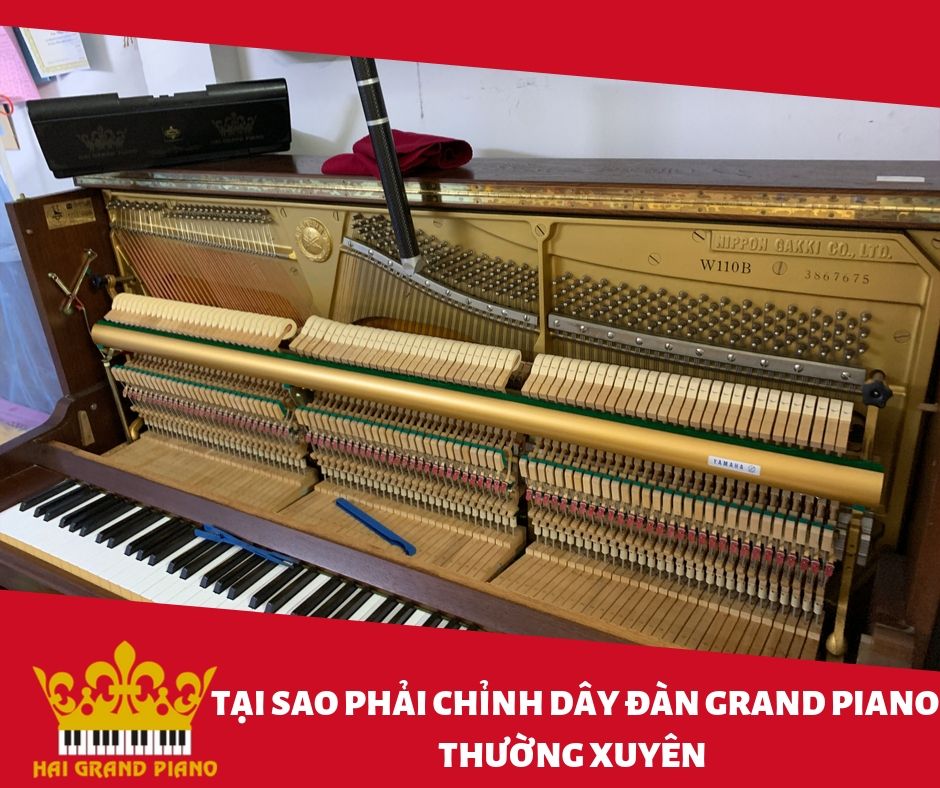 chinh-day-piano-grand-5