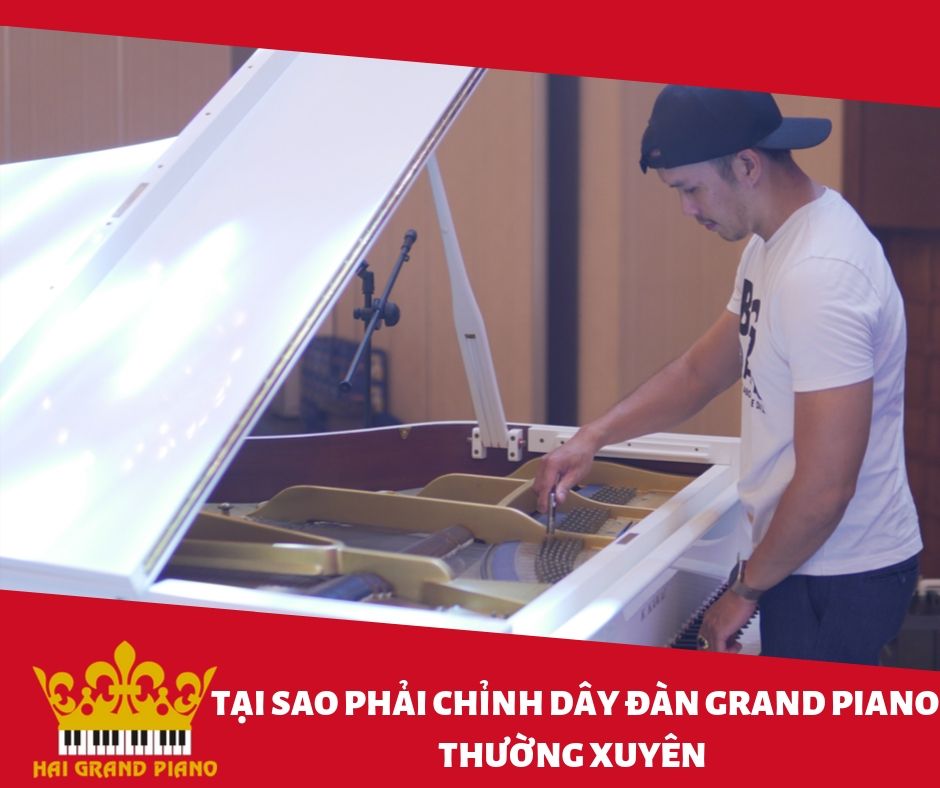 Lên Dây Đàn Piano Grand Định Kỳ ! Tại Sao ?