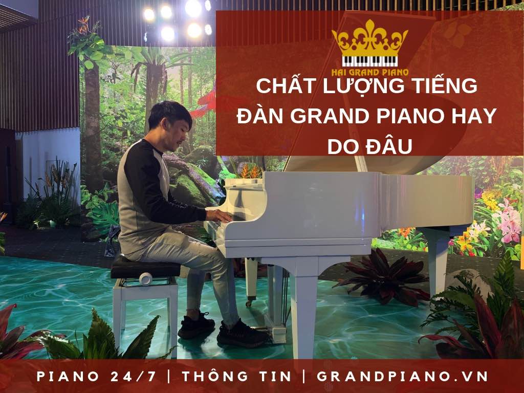 CHAT-LUONG-DAN-GRAND-PIANO-DO-DAU