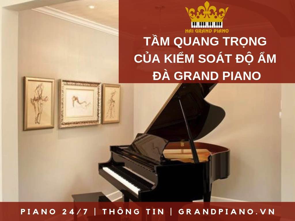 CÁCH KIỂM SOÁT ĐỘ ẨM ĐÀN PIANO GRAND