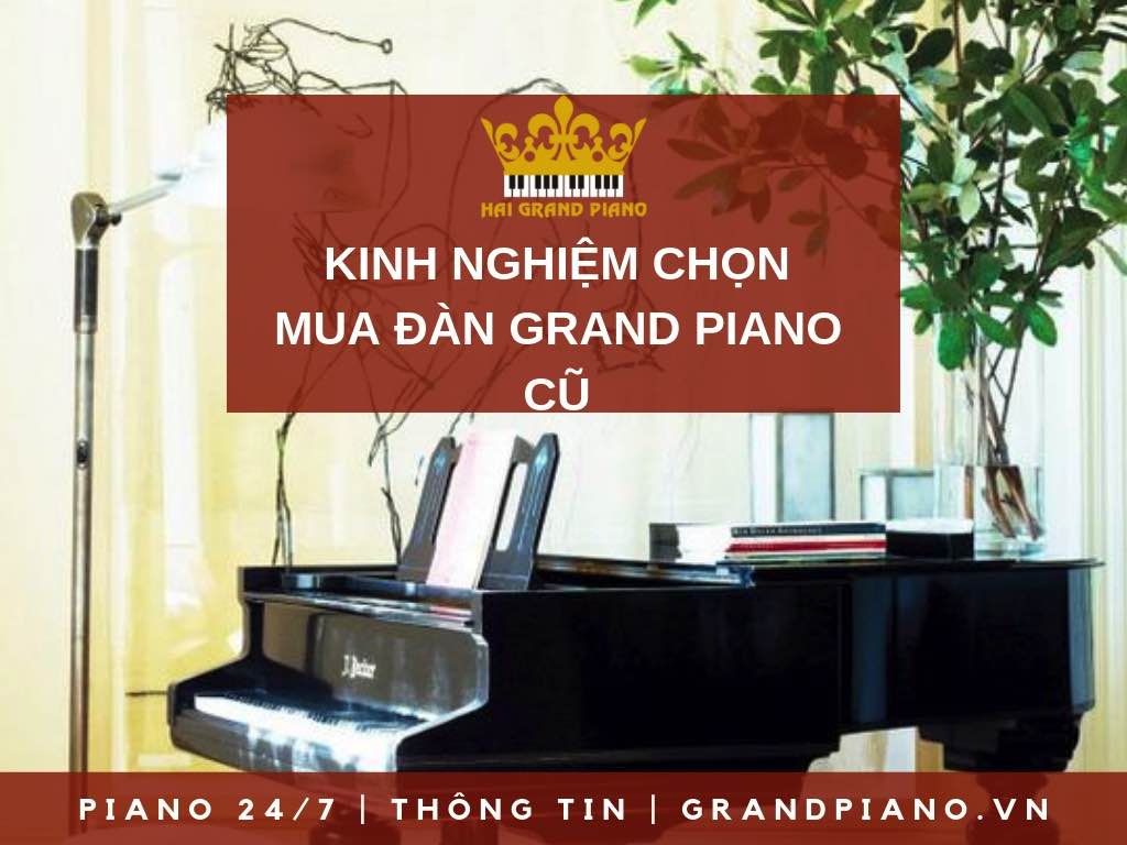 KINH NGHIỆM CHỌN MUA ĐÀN GRAND PIANO CŨ 