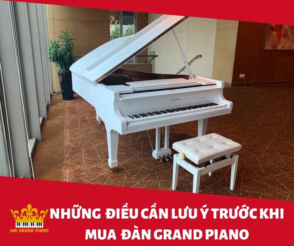 LUU-Y-KHI-MUA-GRAND-PIANO-1