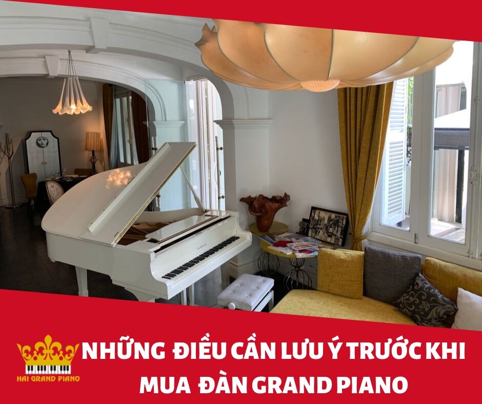 LUU-Y-KHI-MUA-GRAND-PIANO-2