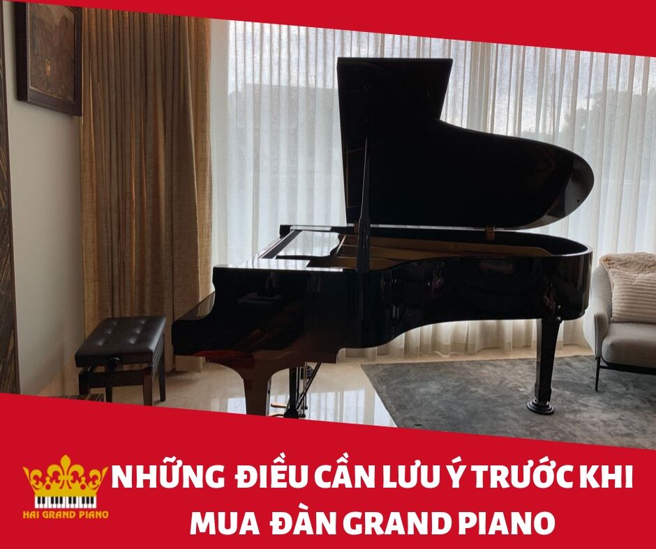 LUU-Y-KHI-MUA-GRAND-PIANO-3