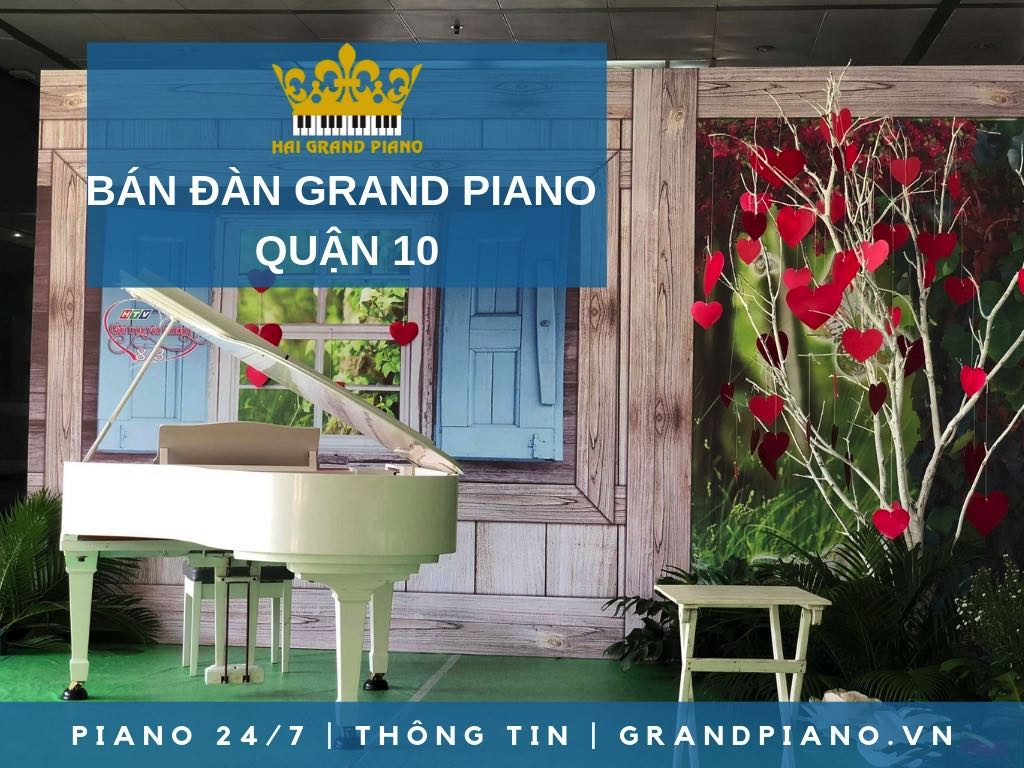 BAN-DAN-GRAND-PIANO-QUAN-10