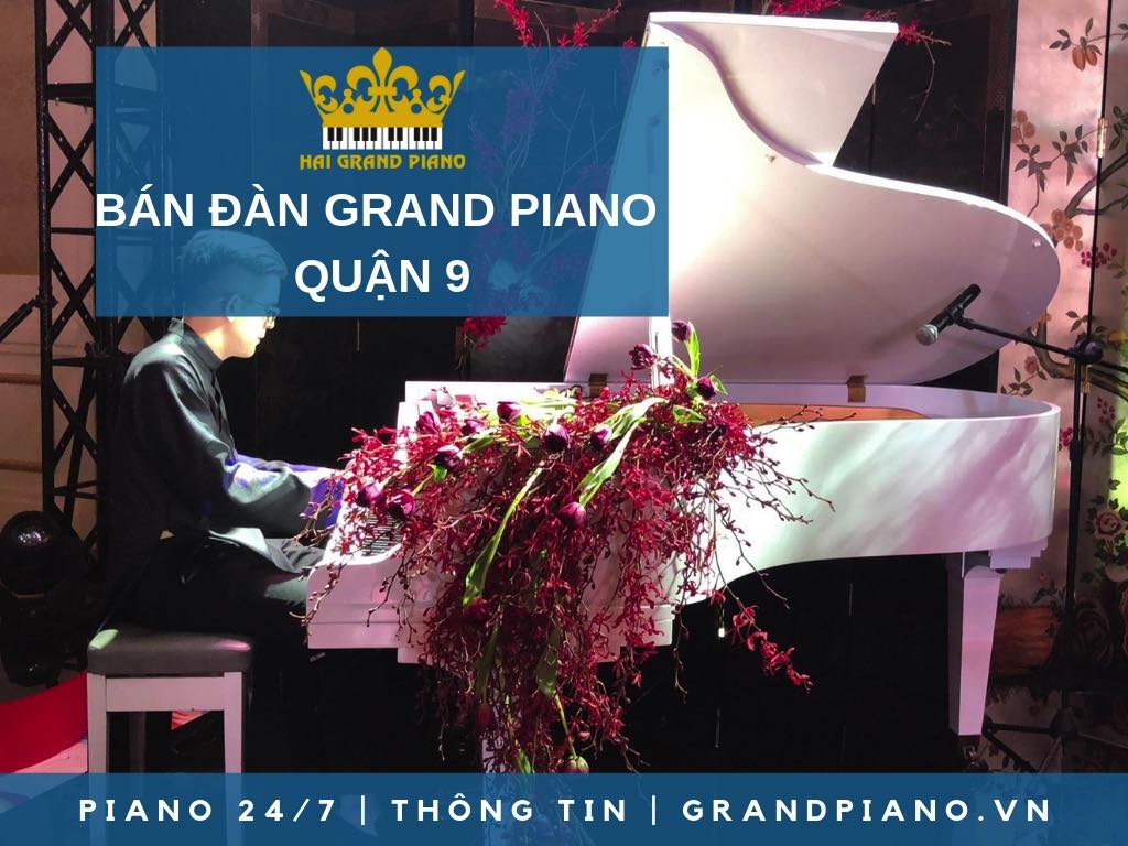 BÁN ĐÀN GRAND PIANO GIÁ RẺ QUẬN 9 - HẢI GRAND PIANO