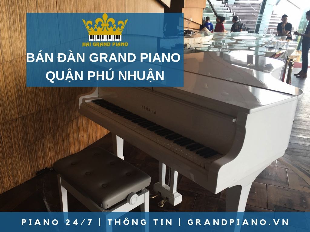 BAN-DAN-GRAND-PIANO-QUAN-PHU-NHUAN