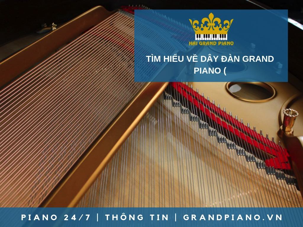 TÌM HIỂU VỀ DÂY ĐÀN PIANO GRAND HIỆN ĐẠI 
