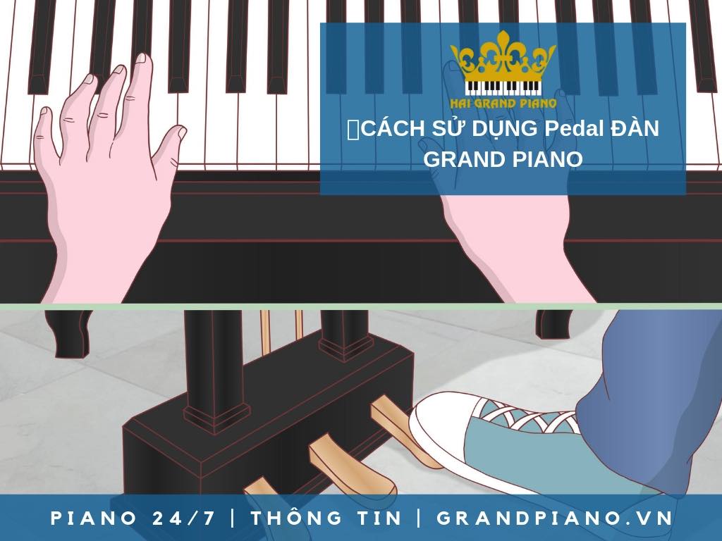 CÁCH DÙNG PEDAL ĐÀN GRAND PIANO ĐƠN GIẢN 